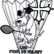 Logo des Fous du Volant